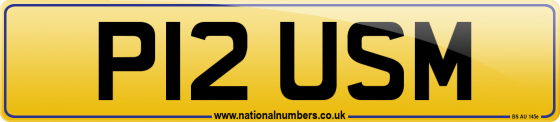 P12 USM