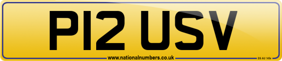 P12 USV