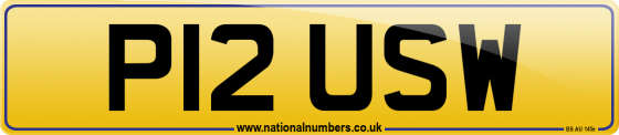 P12 USW