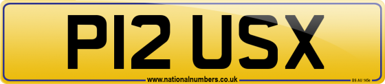 P12 USX