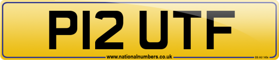 P12 UTF