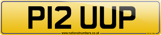 P12 UUP