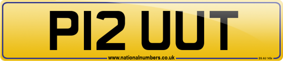 P12 UUT