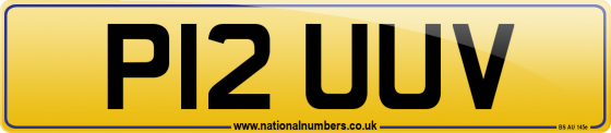 P12 UUV