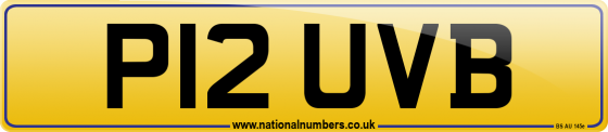 P12 UVB