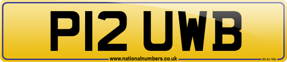 P12 UWB