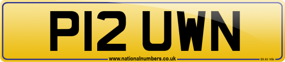 P12 UWN