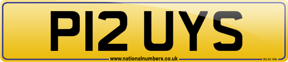 P12 UYS