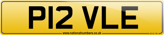 P12 VLE