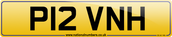 P12 VNH
