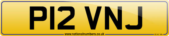 P12 VNJ