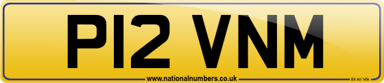 P12 VNM