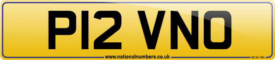 P12 VNO