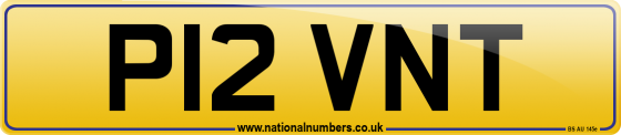 P12 VNT