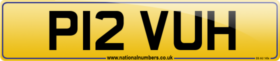 P12 VUH