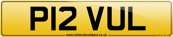 P12 VUL