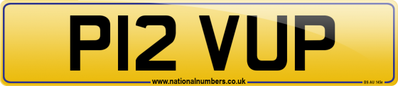 P12 VUP