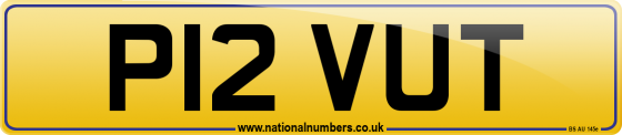 P12 VUT