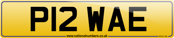 P12 WAE