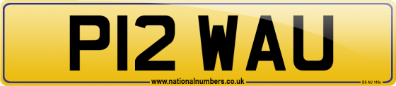 P12 WAU