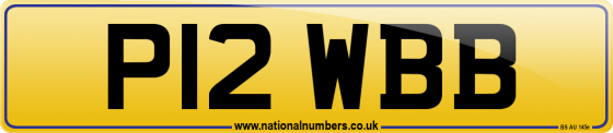 P12 WBB