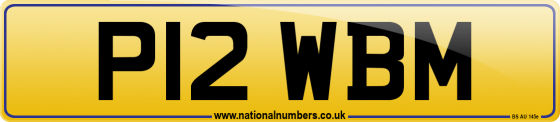 P12 WBM