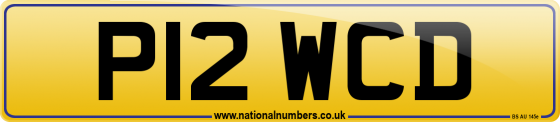 P12 WCD