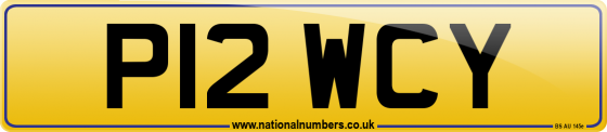 P12 WCY