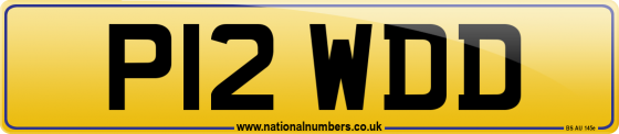 P12 WDD