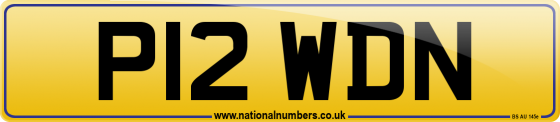P12 WDN