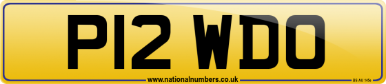 P12 WDO