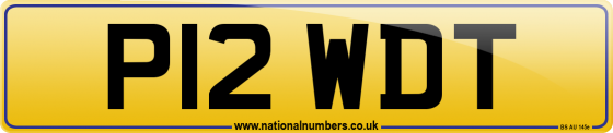 P12 WDT