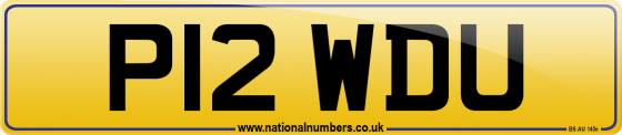 P12 WDU