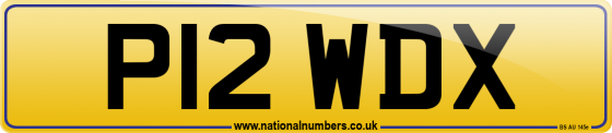 P12 WDX