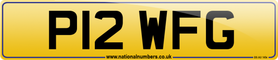 P12 WFG