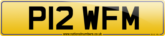 P12 WFM
