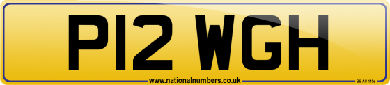 P12 WGH