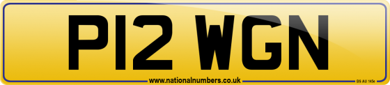 P12 WGN