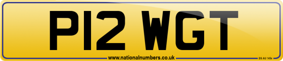 P12 WGT