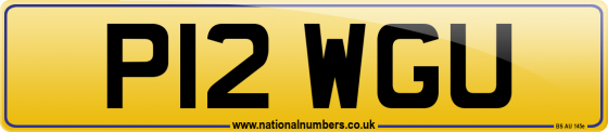 P12 WGU