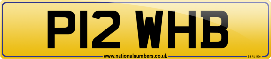 P12 WHB