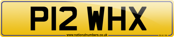 P12 WHX