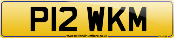 P12 WKM