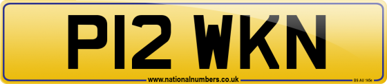 P12 WKN