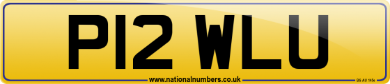 P12 WLU