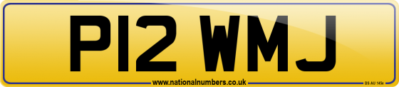 P12 WMJ
