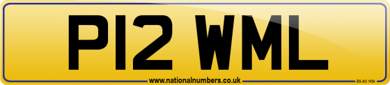 P12 WML
