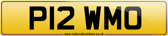 P12 WMO