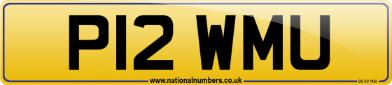 P12 WMU