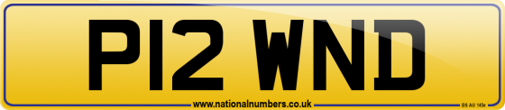 P12 WND
